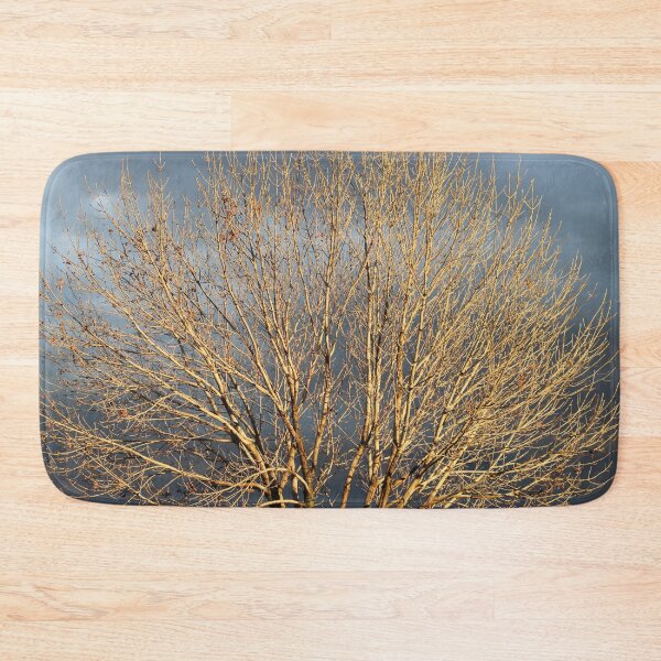 Item preview, Winter Tree in the Sun designed and sold by Susie Kramer.