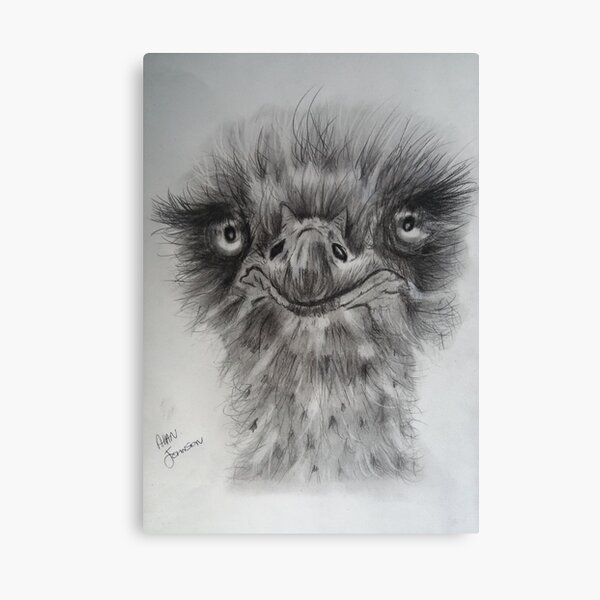 Emu Face Canvas Prints | Redbubble