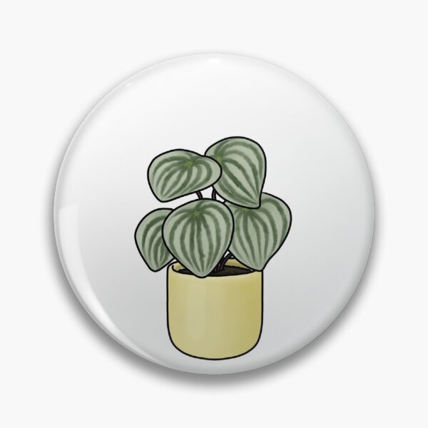 Item preview, Watermelon Peperomia designed and sold by maeganlj.