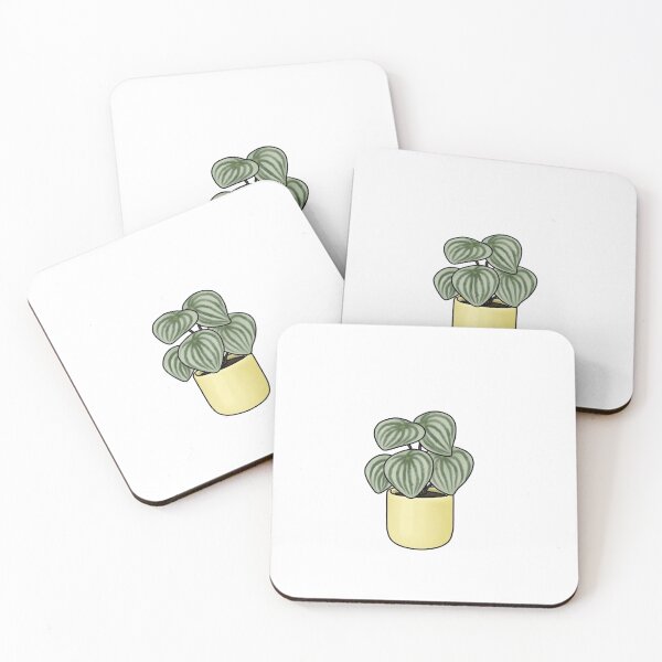 Item preview, Watermelon Peperomia designed and sold by maeganlj.