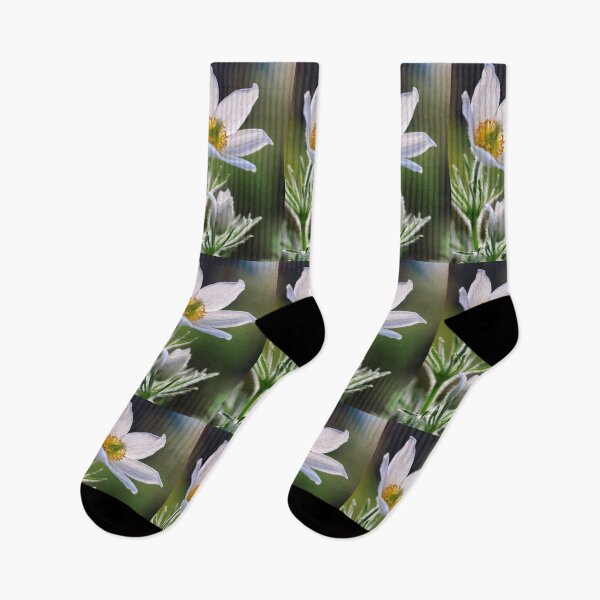 Item preview, Pulsatilla Pinwheel White. designed and sold by John Ray.