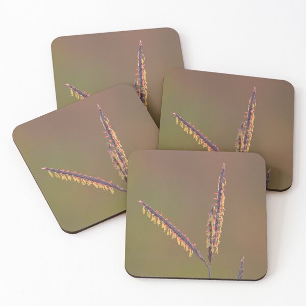 Item preview, Colorful Plant designed and sold by lisapicklepizza.