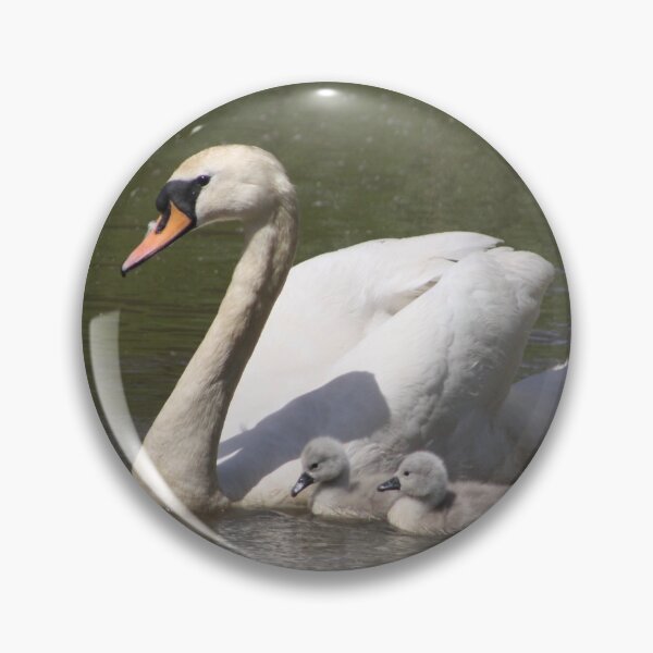 Item preview, Swan and cygnets designed and sold by Maridadi-Design.