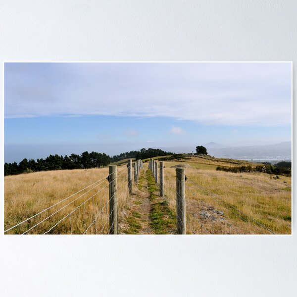 Item preview, Otago Peninsula designed and sold by mknapen.