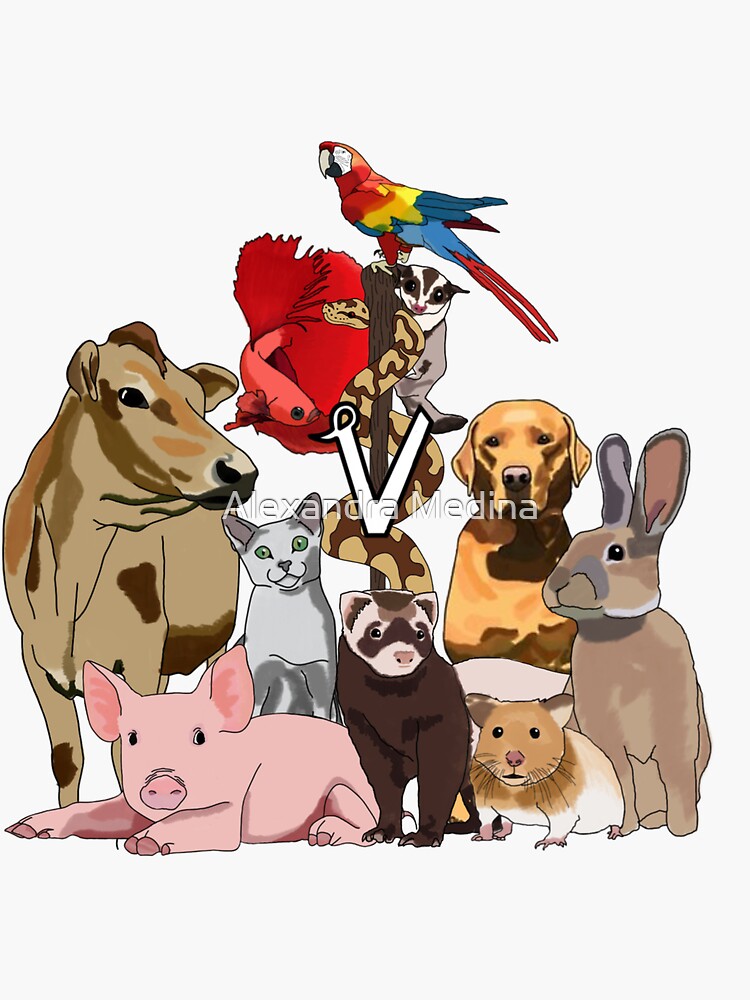 "Mixed Animal Medicine" Sticker for Sale by ammedina612 Redbubble