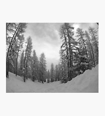 Into the White Photographic Print