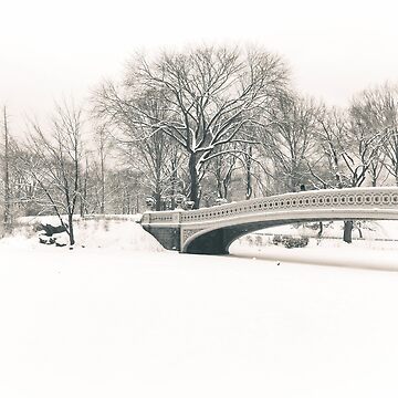 Serenity Snow