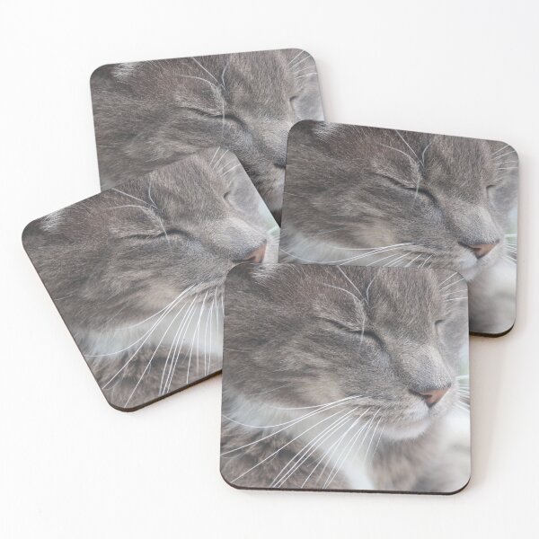Item preview, Sleepy Frisky designed and sold by Margaret Flaherty.