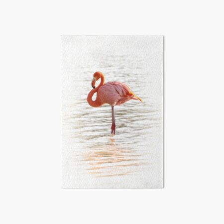 Flamingo Pretty in Pink Art Board Print
