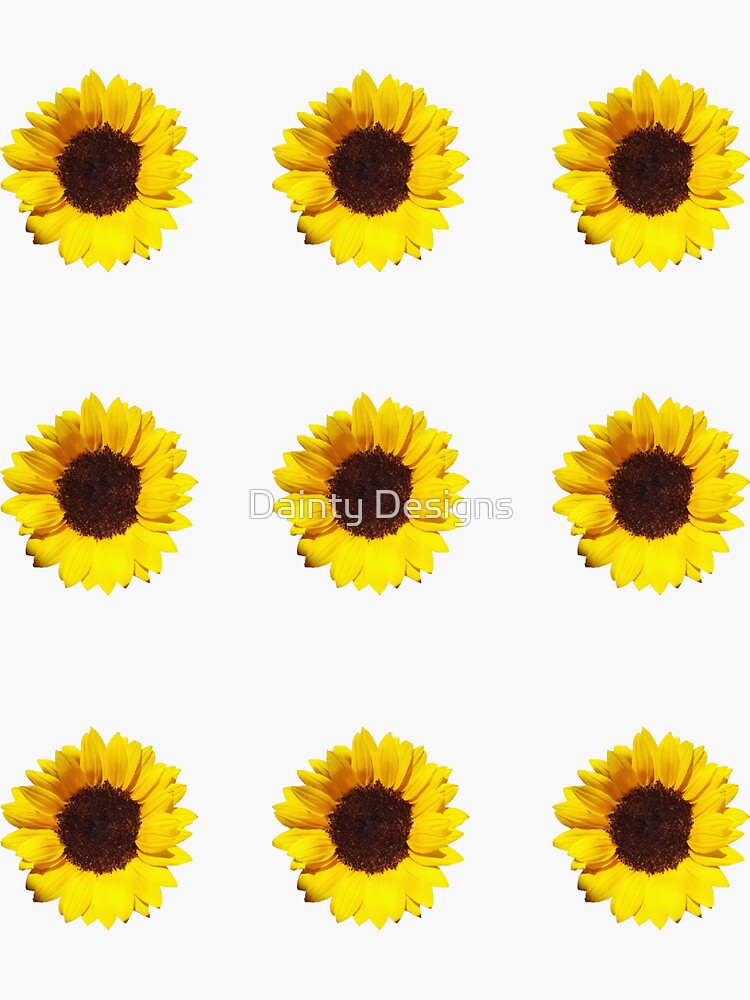 Sunflower Sticker Pack Sticker For Sale By Amys Art Redbubble 1865