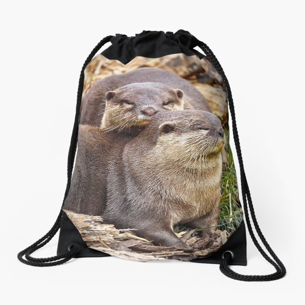 Otter-ly in Love Drawstring Bag