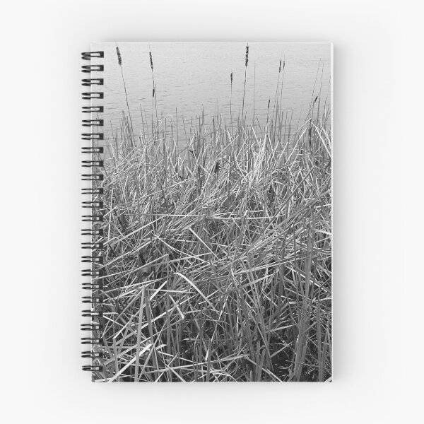 Item preview, Cattails designed and sold by J Rier Photography.