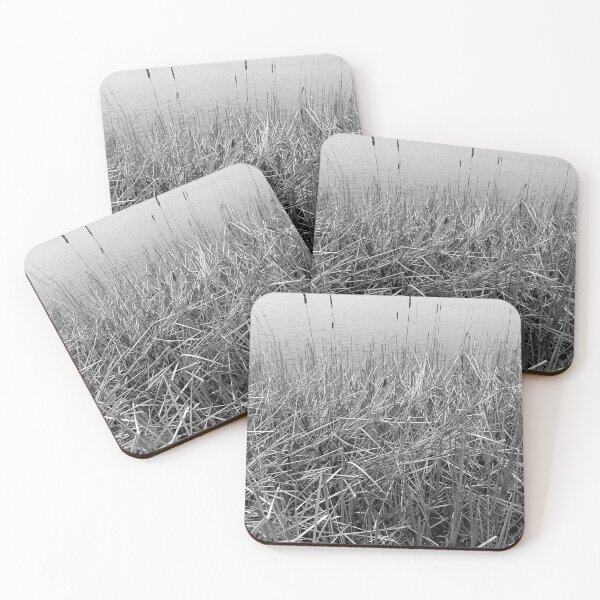 Item preview, Cattails designed and sold by J Rier Photography.