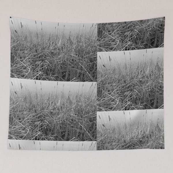 Item preview, Cattails designed and sold by J Rier Photography.