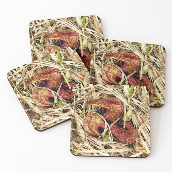 Item preview, First sign of spring designed and sold by J Rier Photography.