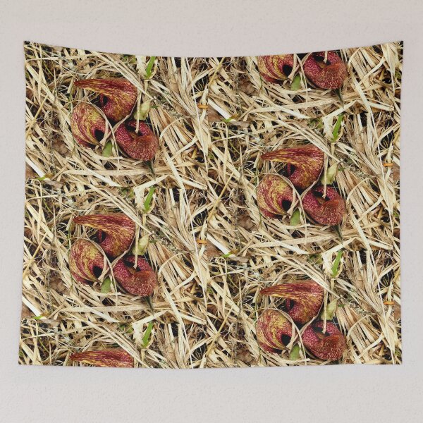 Item preview, First sign of spring designed and sold by J Rier Photography.