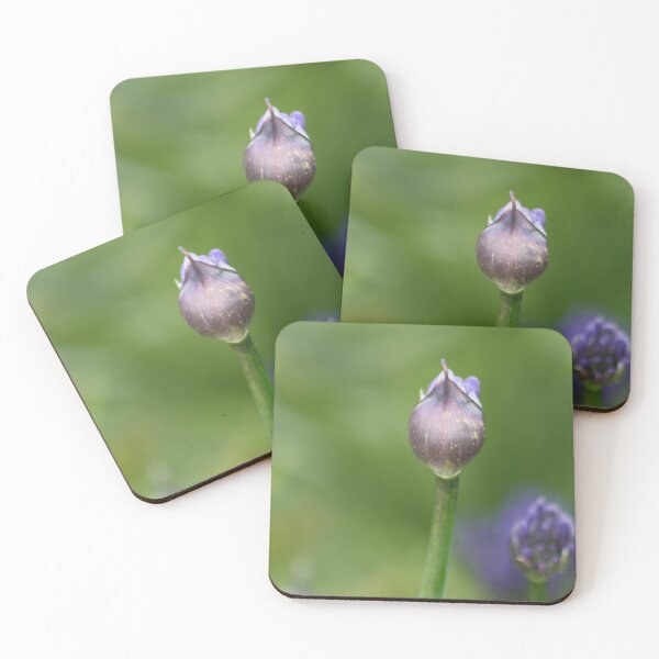 Item preview, African Lily about to bloom designed and sold by Maridadi-Design.