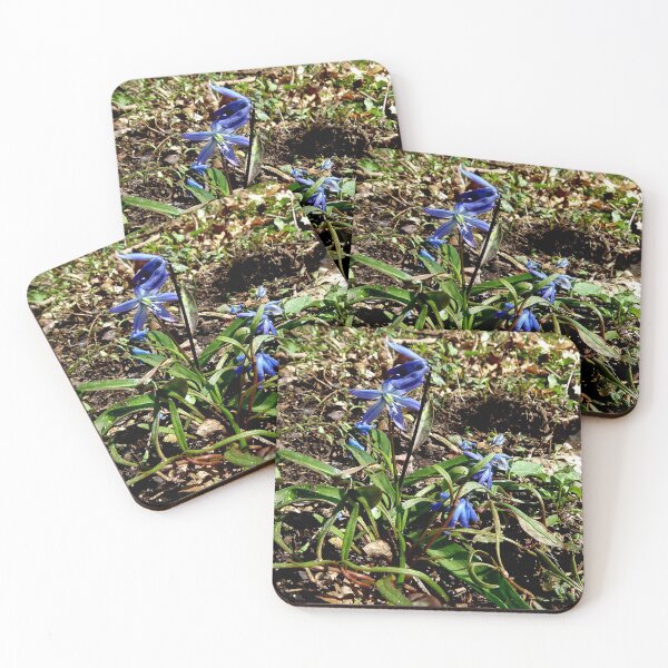 Item preview, Blue wildflower designed and sold by J Rier Photography.