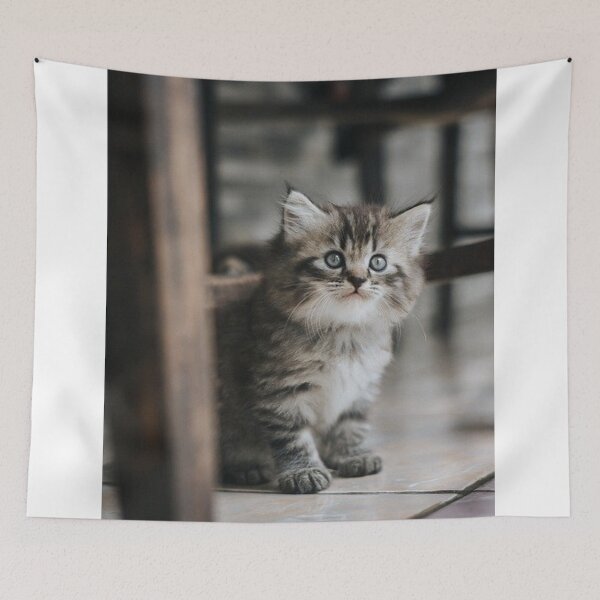 Item preview, "Kitty" designed and sold by TheLifeInspired.