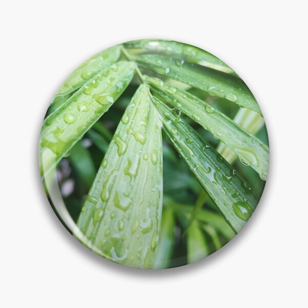Item preview, Rain drops designed and sold by FurwaAbid.