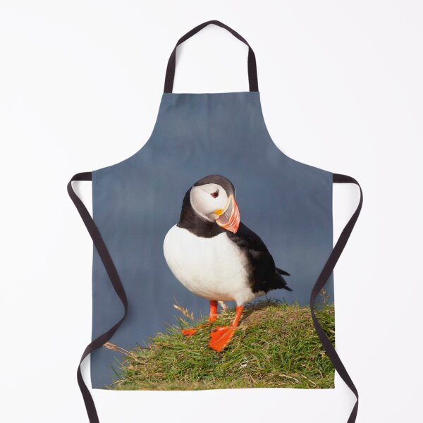 Watercolor Bird, Atlantic Puffins 45, Westman Islands, Iceland Apron