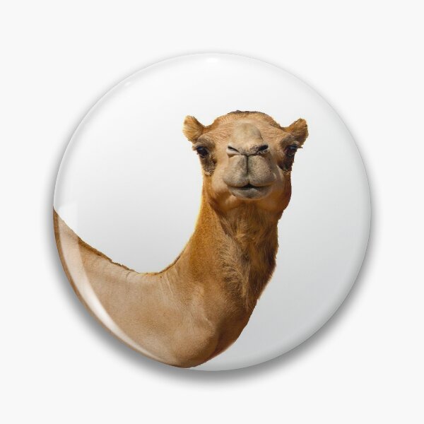 Item preview, What Are You Hump To? designed and sold by shaliah.