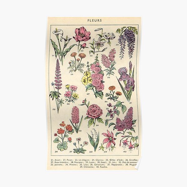 Les fleurs, poster Poster