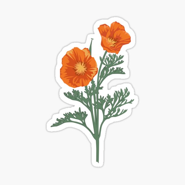 CreateAndShip Spring Poppy What's Poppin Shirt, Cute Spring Shirts, Flower Shirt, Poppy Shirt, Botanist Shirt, Plant Lady Shirt, California Poppy Shirt