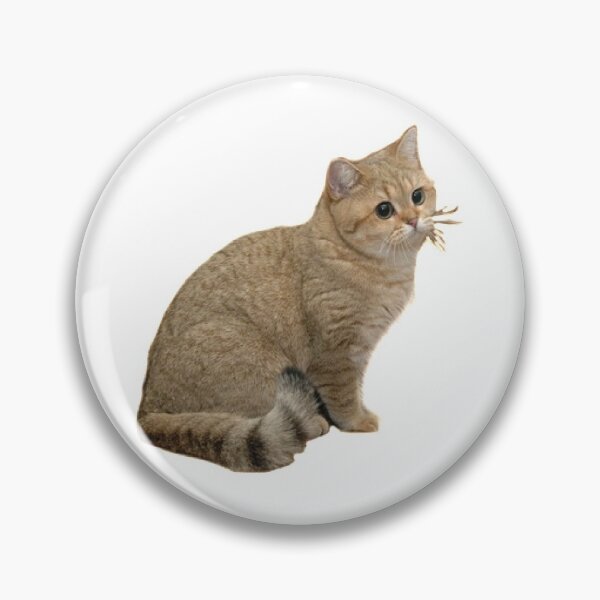 Item preview, Stare cat Grafics designed and sold by snec.