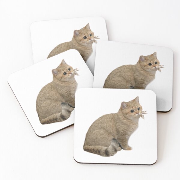 Item preview, Stare cat Grafics designed and sold by snec.