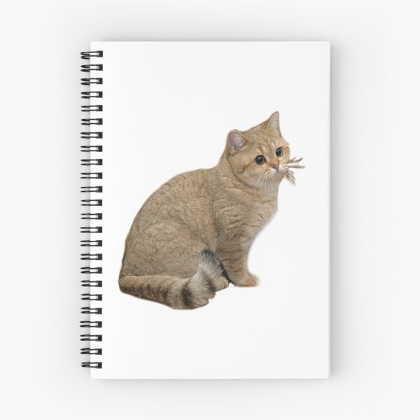 Item preview, Stare cat Grafics designed and sold by snec.