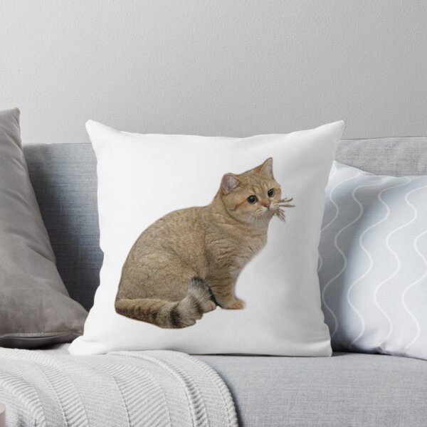 Item preview, Stare cat Grafics designed and sold by snec.