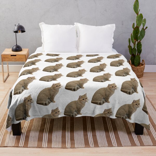 Item preview, Stare cat Grafics designed and sold by snec.