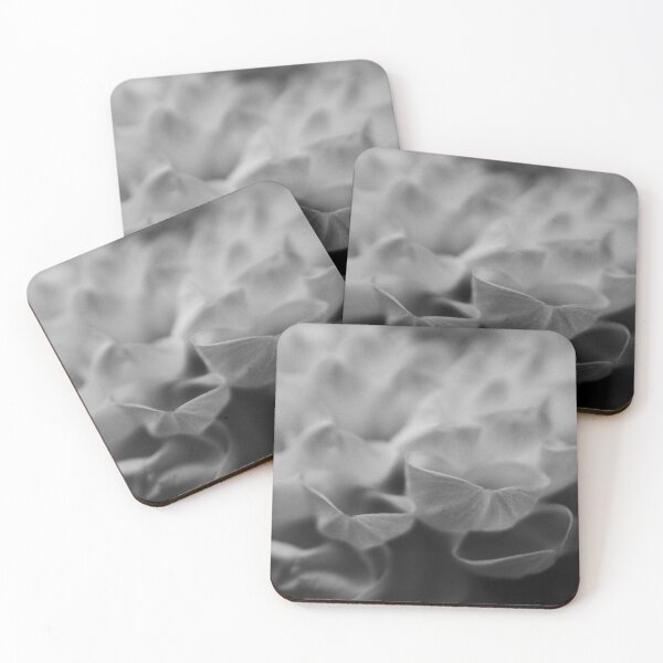 Item preview, flower close up - black/white - eight designed and sold by greatnorris.
