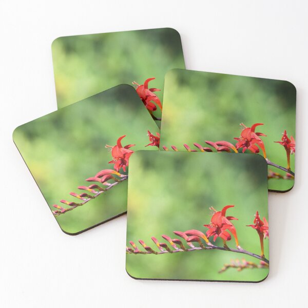Item preview, crocosmia lucifer designed and sold by markspics.