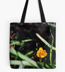 Hide and seek. Tote Bag
