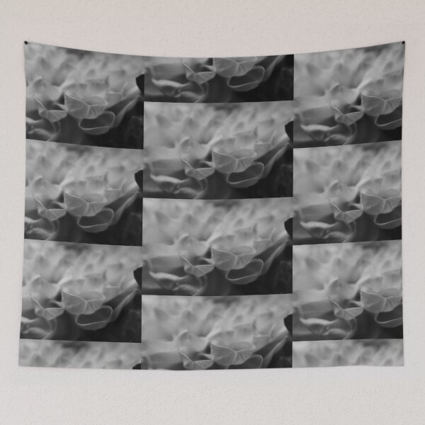 Item preview, flower close up - black/white - eight designed and sold by greatnorris.