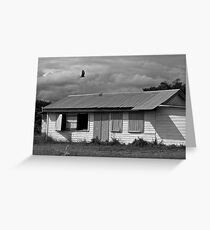 Belize Vulture Greeting Card