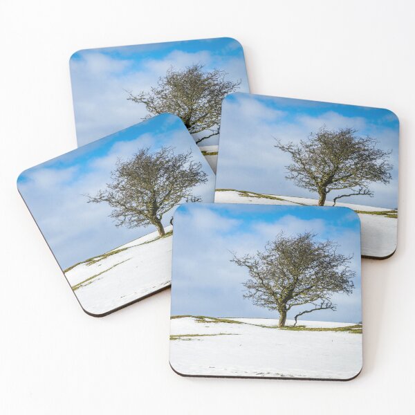 Artikelvorschau, Einsamer Baum entworfen und verkauft von Jane Stanley Photography.