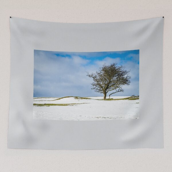Artikelvorschau, Einsamer Baum entworfen und verkauft von Jane Stanley Photography.