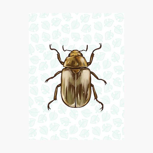 Animal Crossing - Jewel Scarab illustration Photographic Print