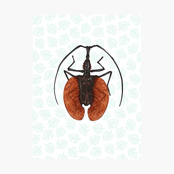 Animal Crossing - Violin Beetle Illustration Photographic Print