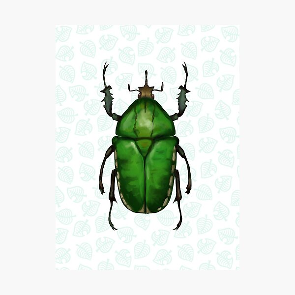 Animal Crossing - Flower Beetle Scientific Illustration Photographic Print