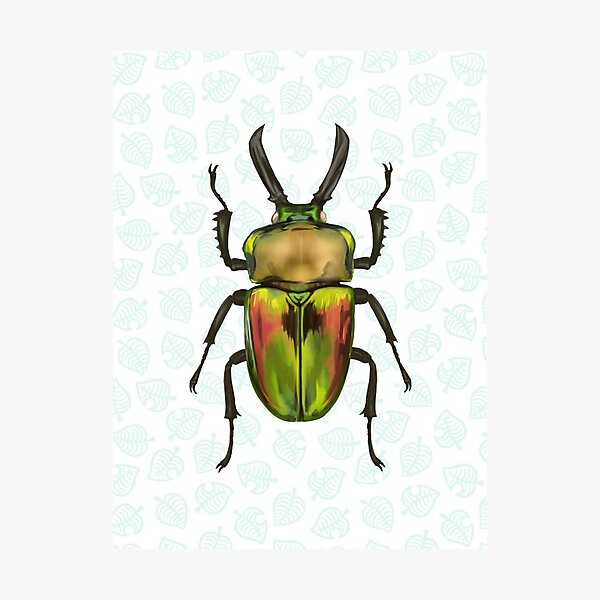 Animal Crossing - Rainbow Stag Scientific Illustration Photographic Print