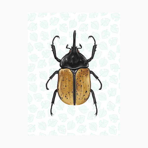 Animal Crossing - Hercules Beetle Scientific Illustration Photographic Print