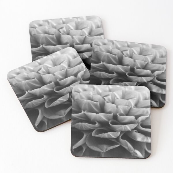 Item preview, flower close up - black/white - three designed and sold by greatnorris.