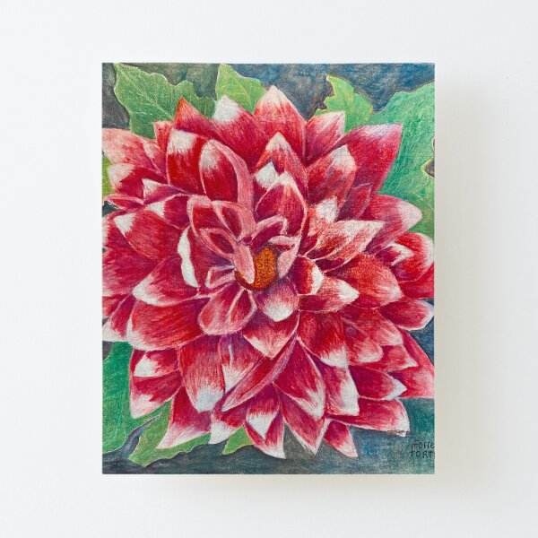 Beautiful Flower Canvas Mounted Print