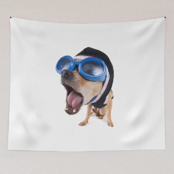 Item preview, Dog Wearing Sun Glasses & Hat designed and sold by omer1855.