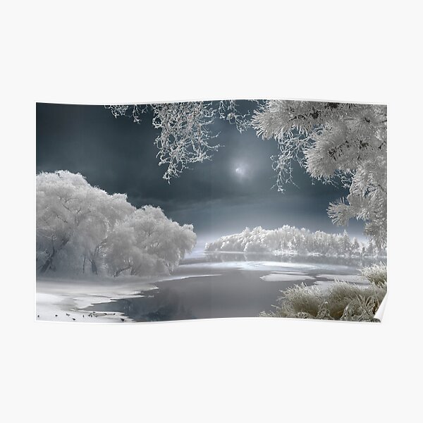 Winter Lake Poster