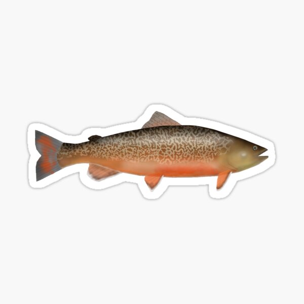 North Carolina State Shaped Trout Sticker Vinyl NC fly fishing fish 